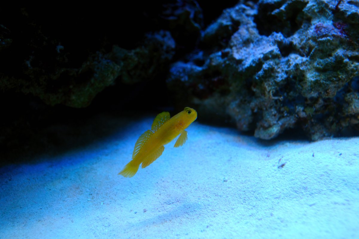 DSC_7114.JPG