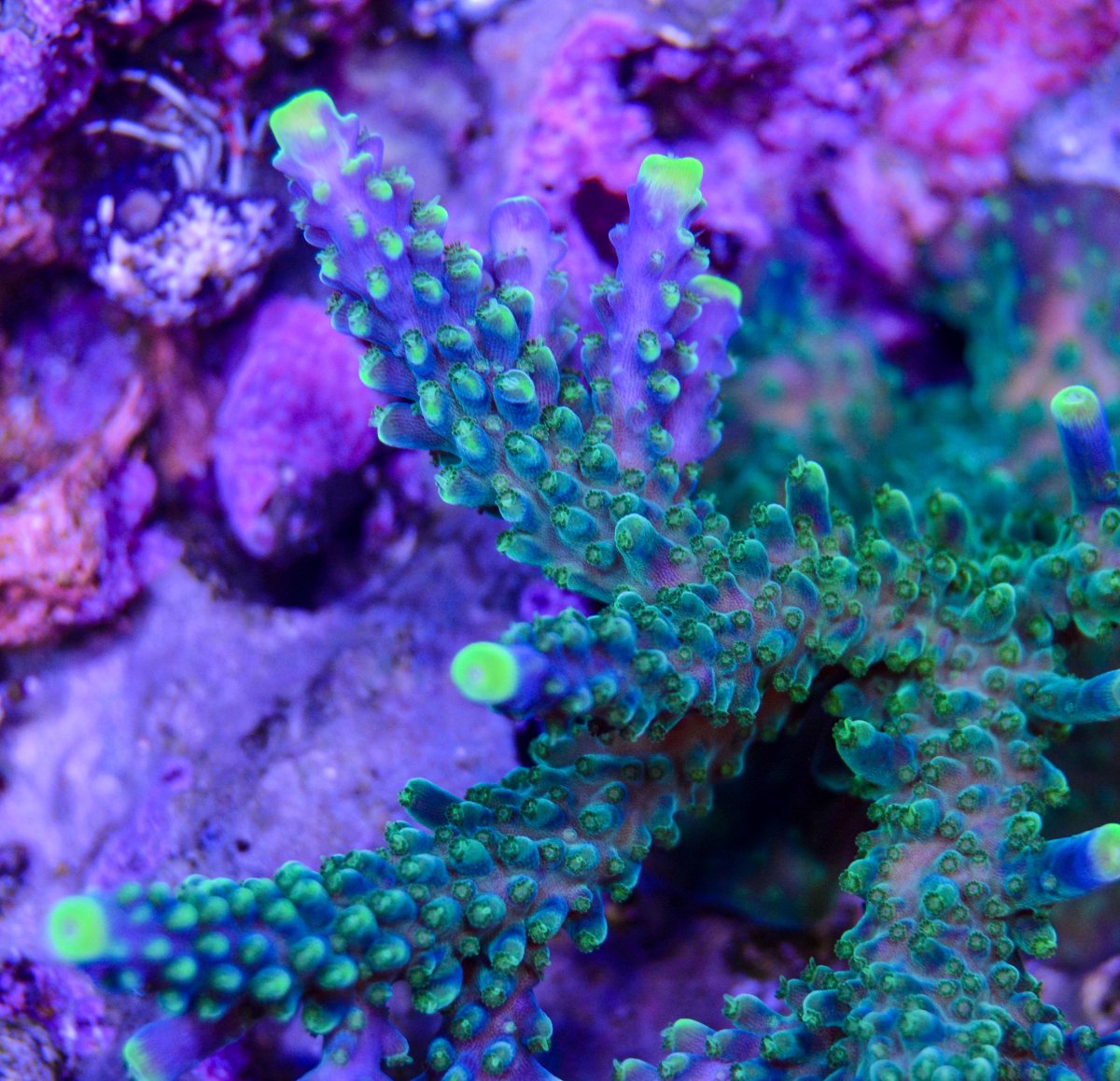 DSC_7293.jpg