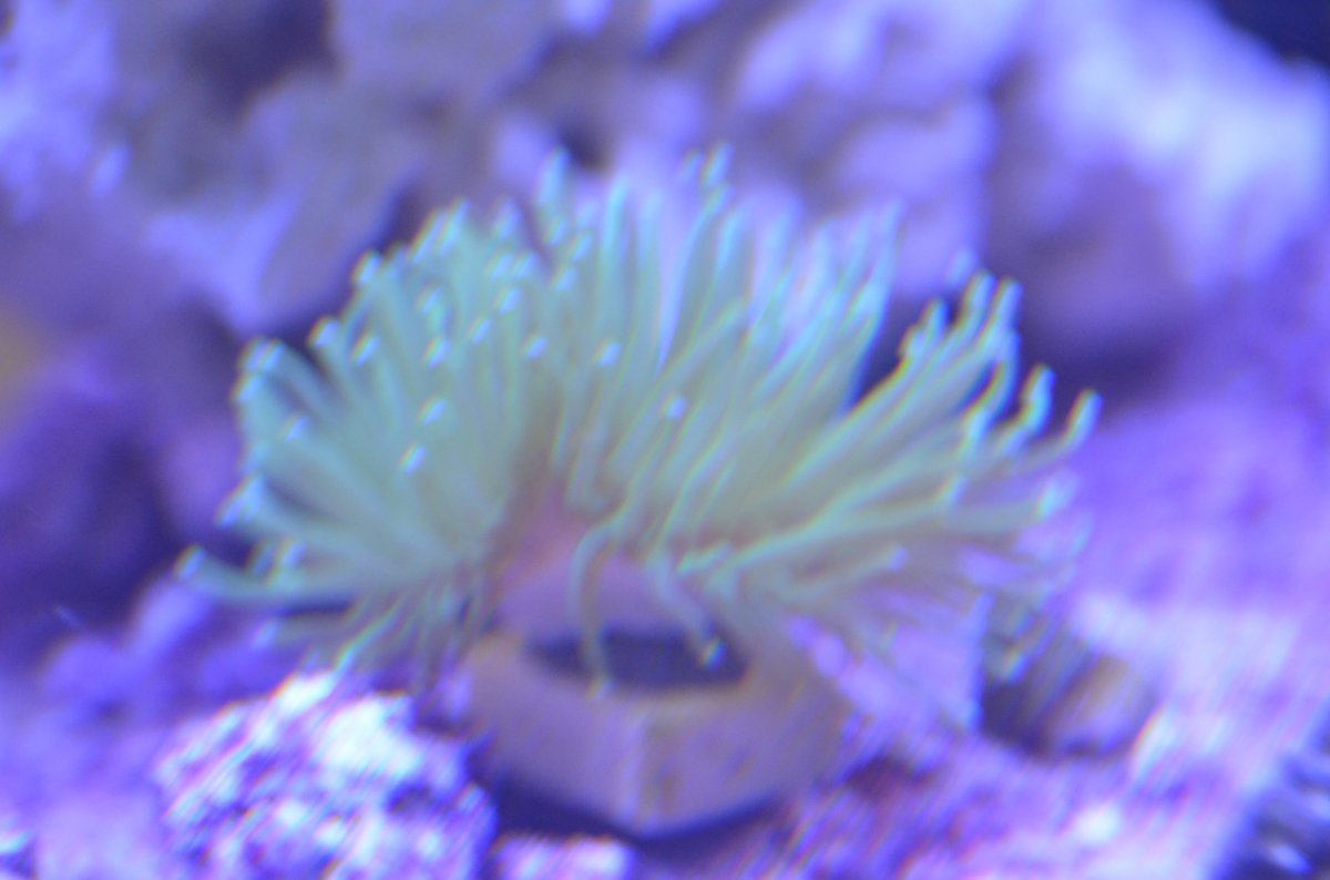 DSC_7491.JPG