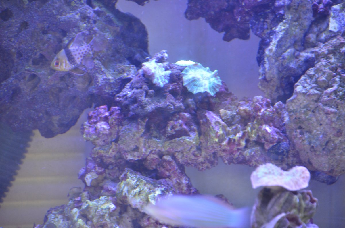 DSC_7504.JPG