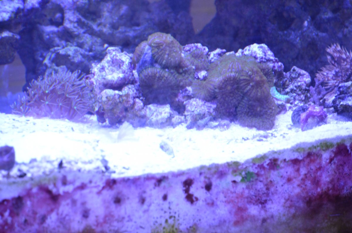 DSC_7505.JPG