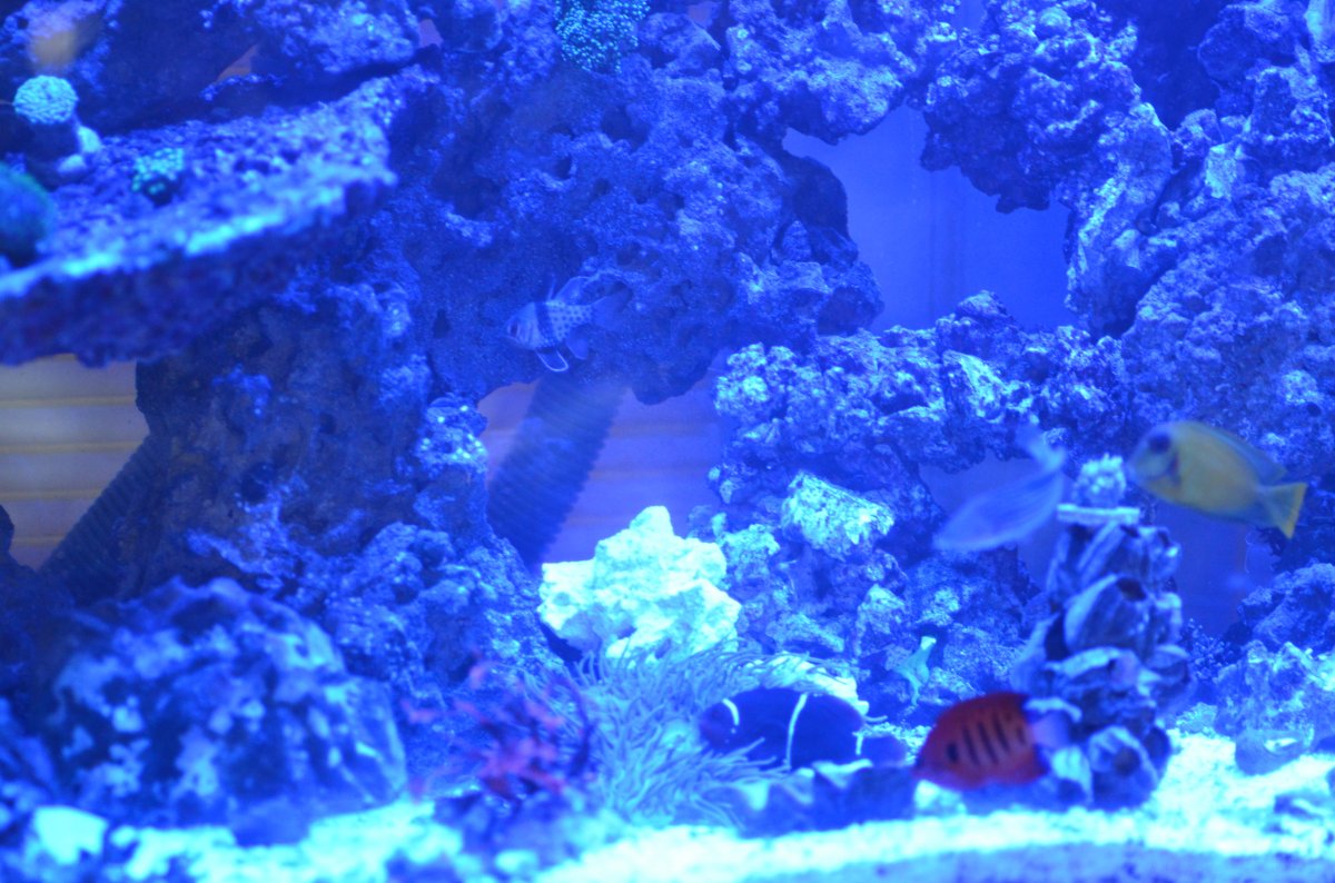 DSC_7541.JPG