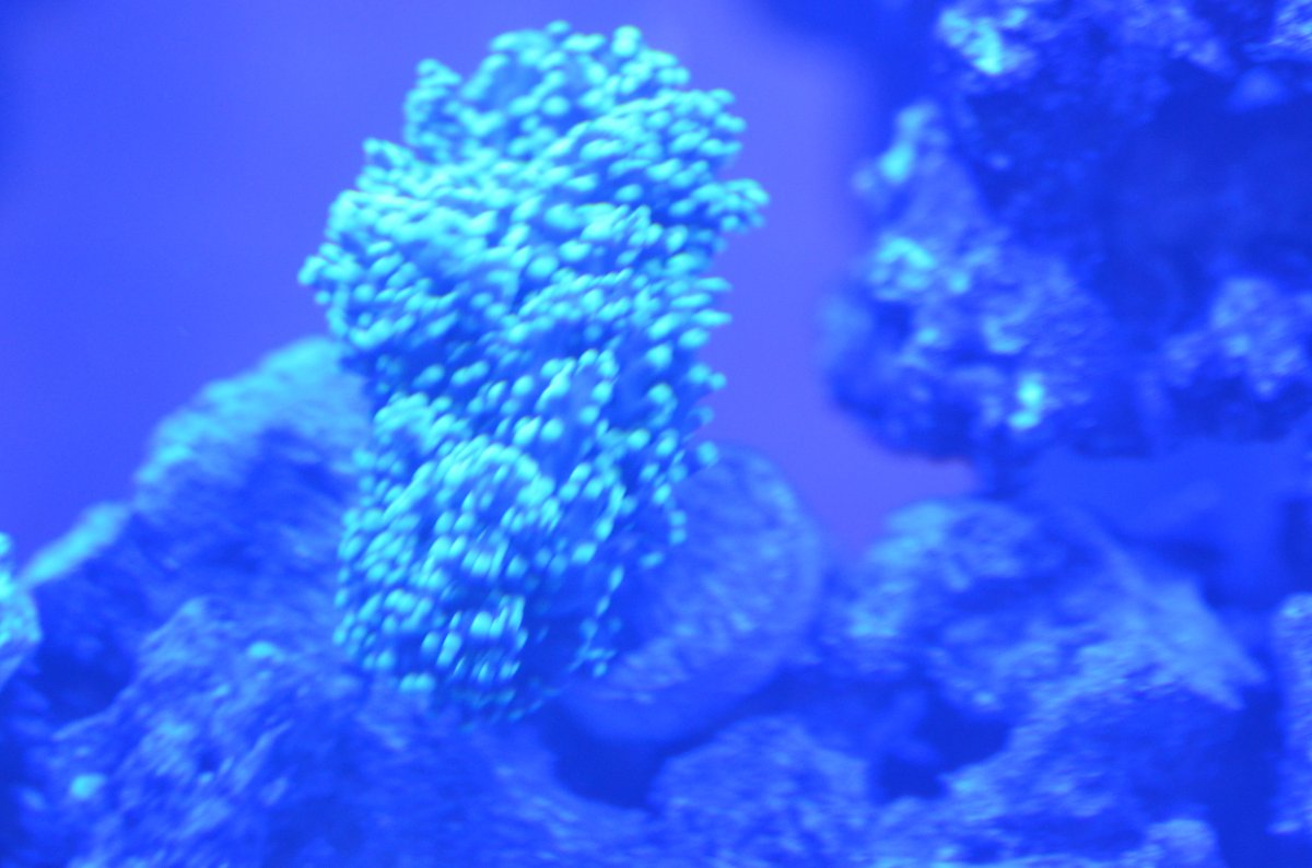 DSC_7544.JPG