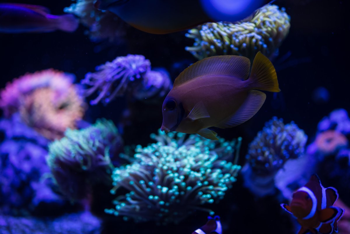 DSC_7545_1.jpg