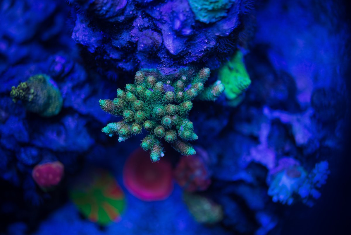 DSC_7563_1.jpg