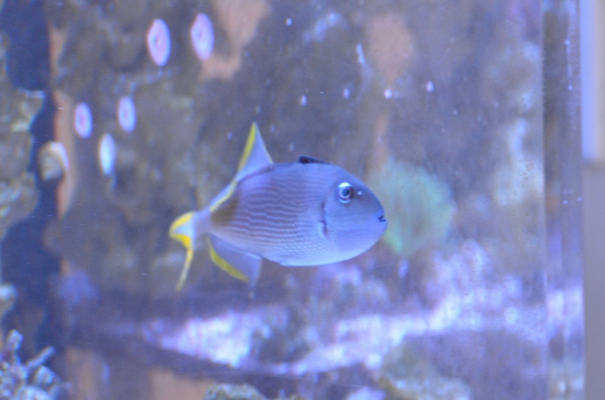 DSC_7565.JPG