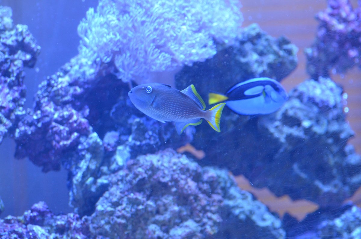 DSC_7583.JPG