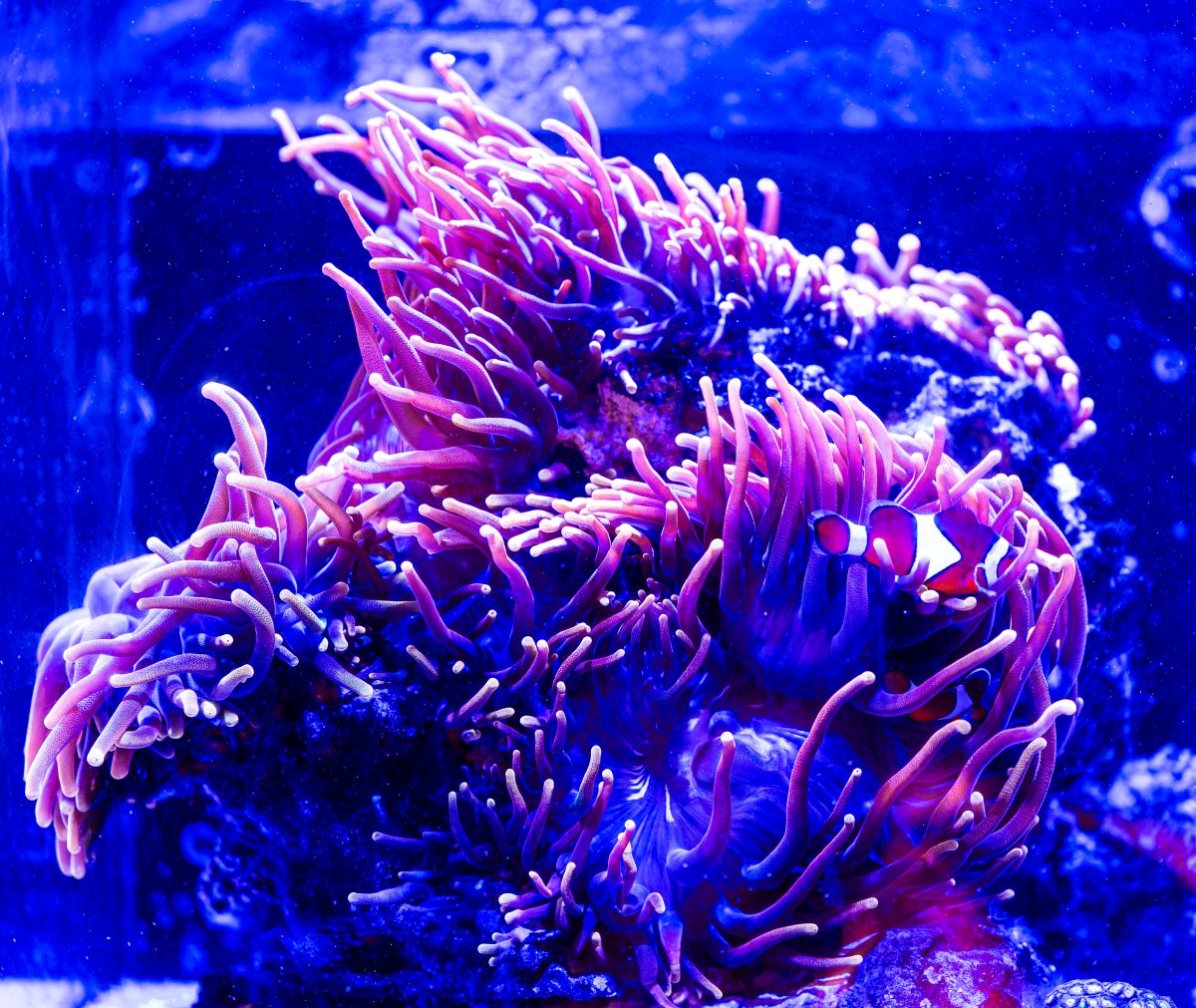 DSC_7735.jpg