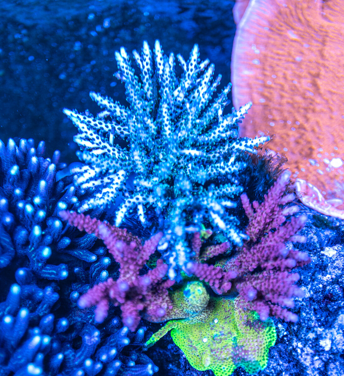 DSC_7817.jpg