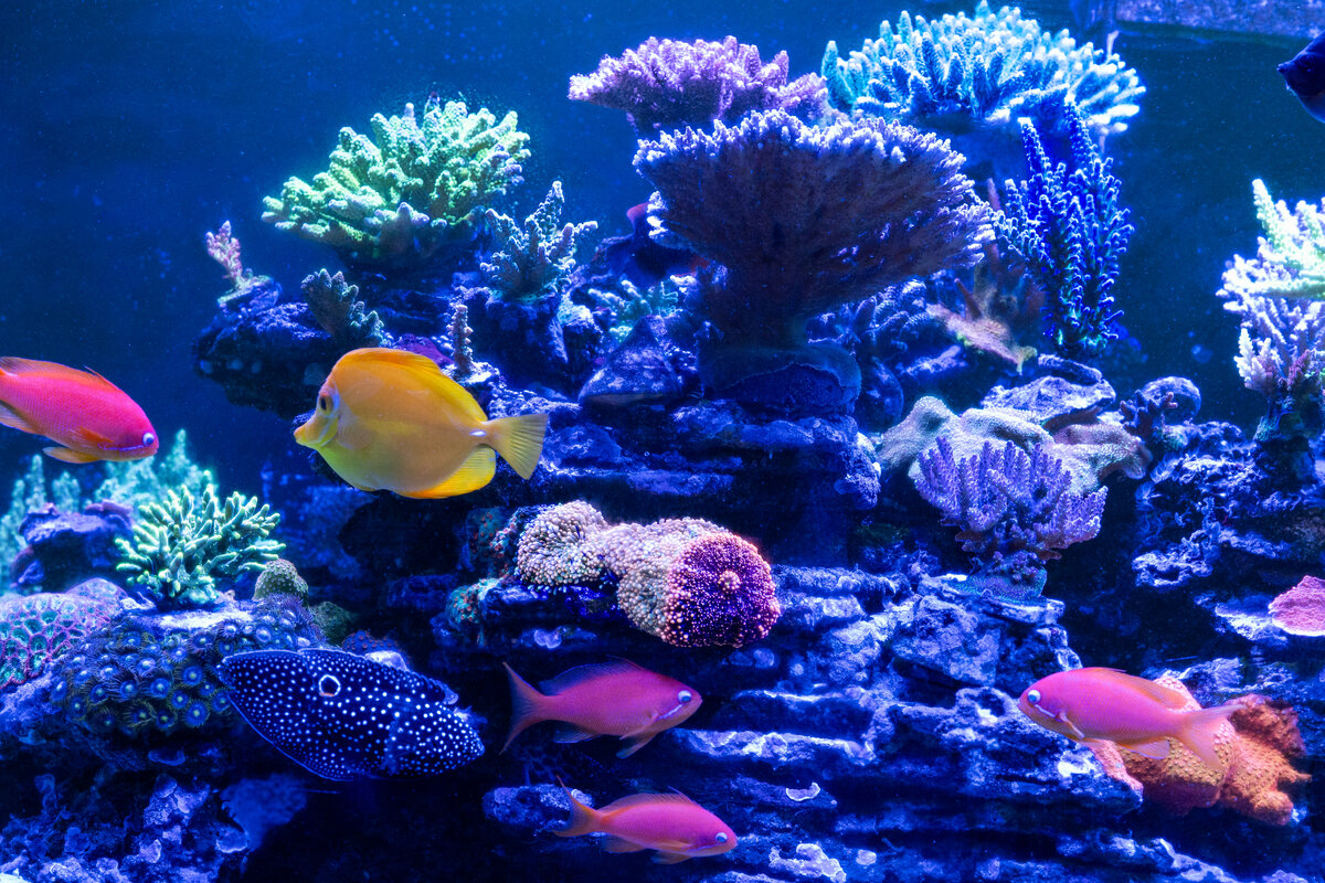 DSC_8009.jpg