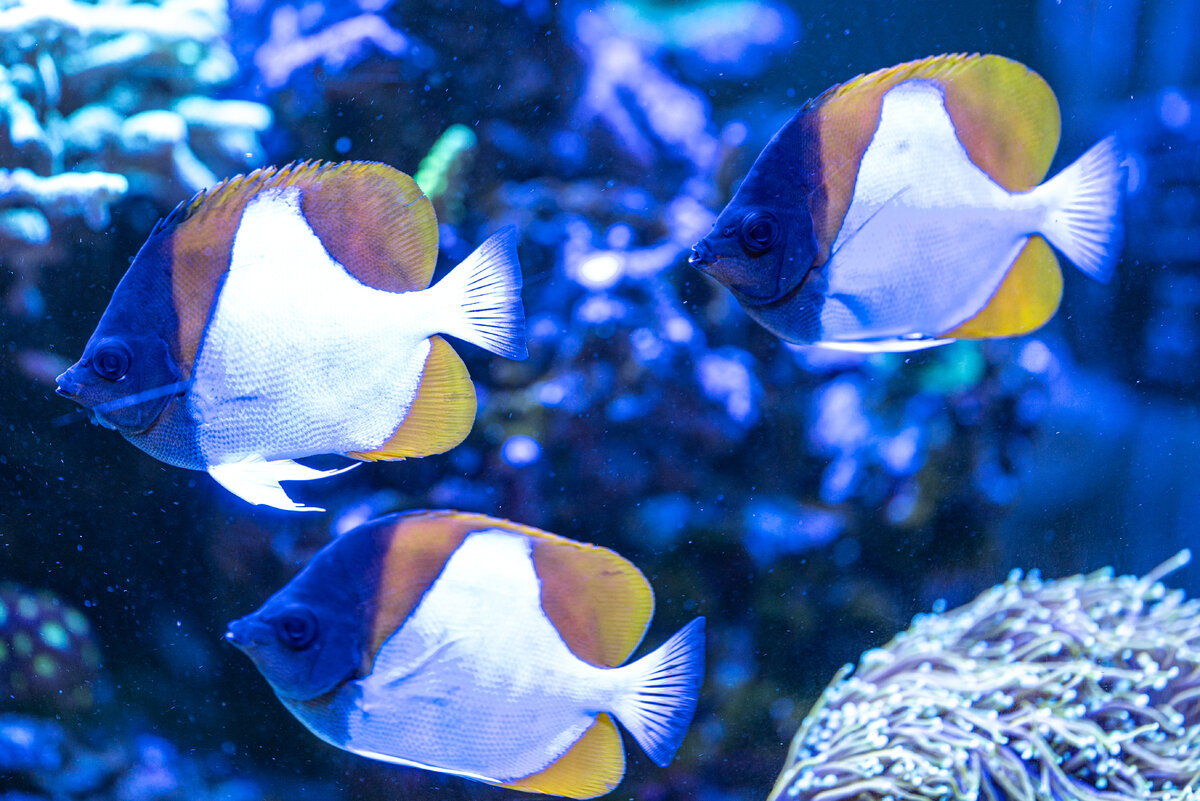 DSC_8076.jpg