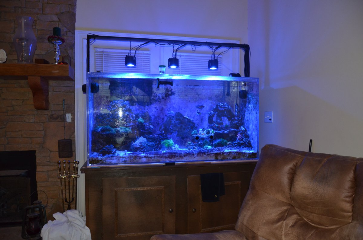 DSC_8109.JPG