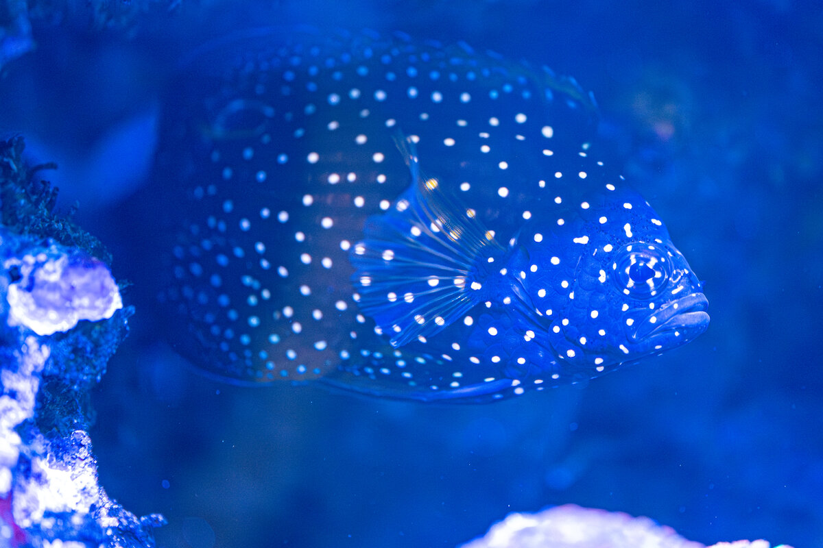 DSC_8249.jpg