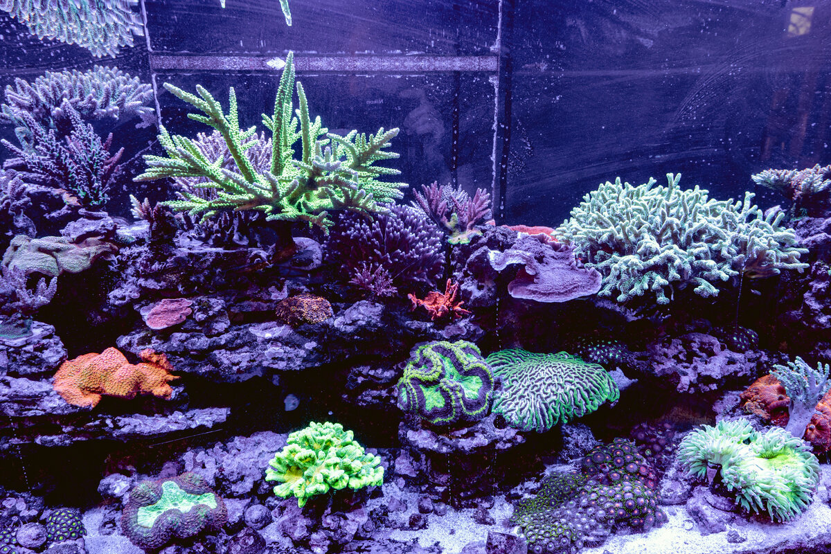 DSC_8267.jpg