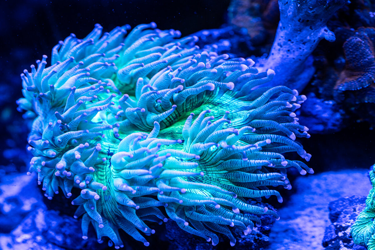 DSC_8280.jpg