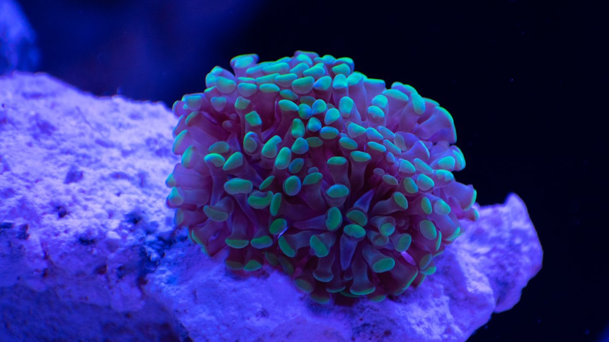 DSC_8509.jpg