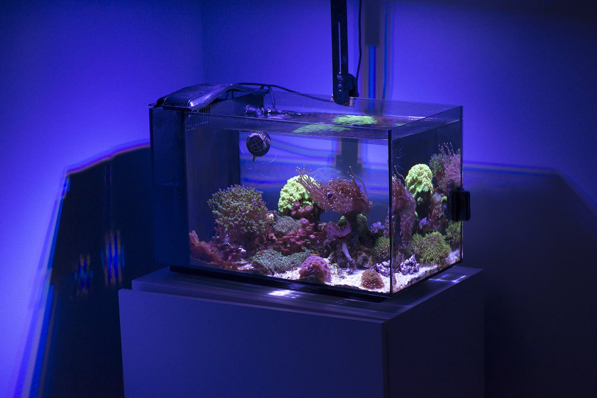 DSC_8842_LR.jpg