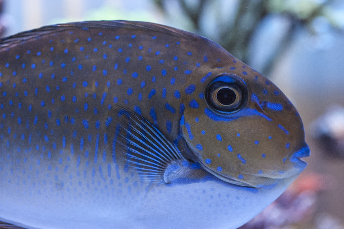 DSC_9315.jpg