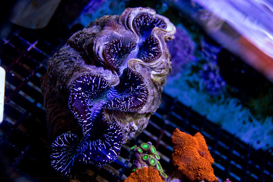 DSC_9709small.jpg
