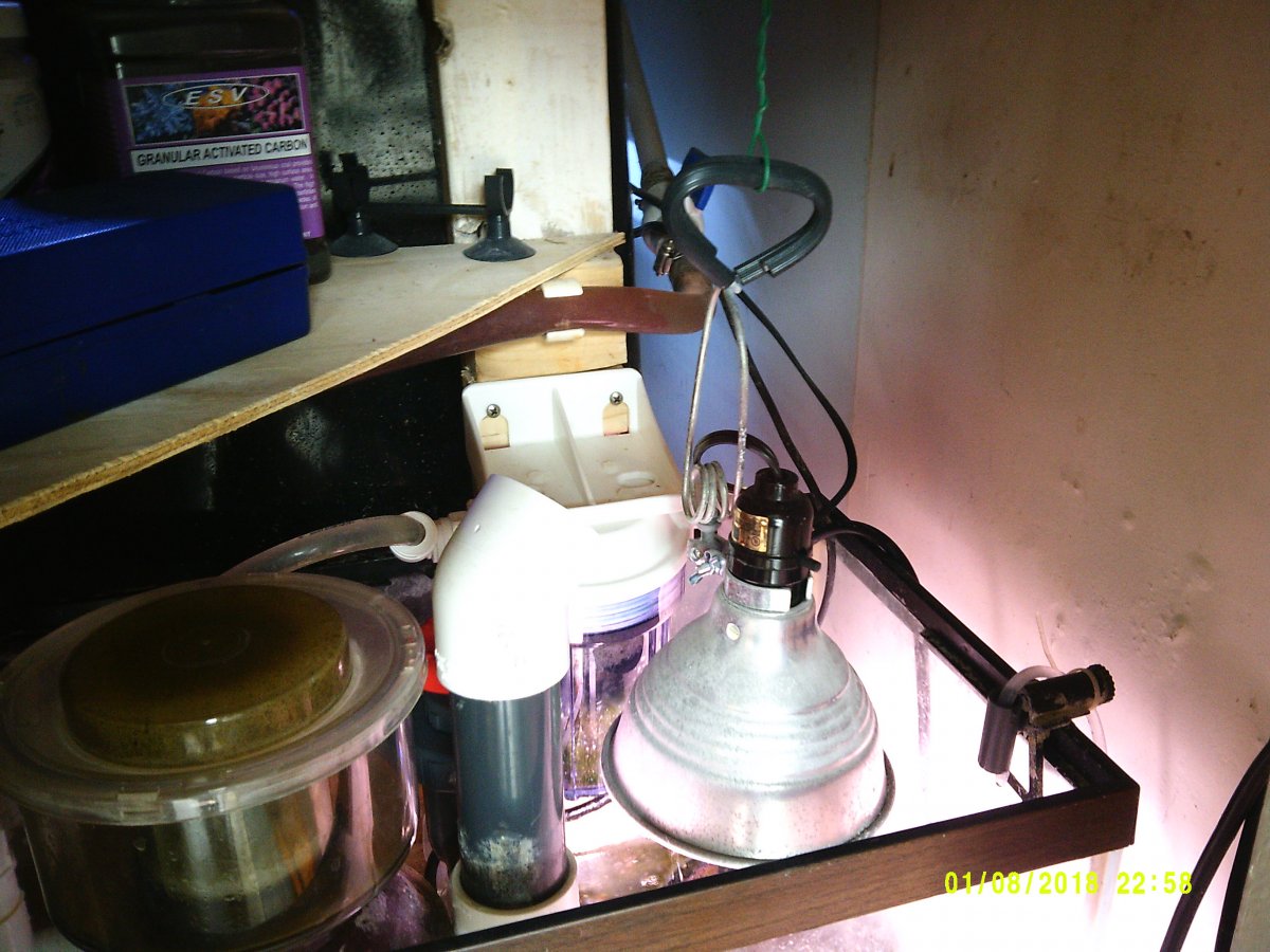 DSCF0016.JPG