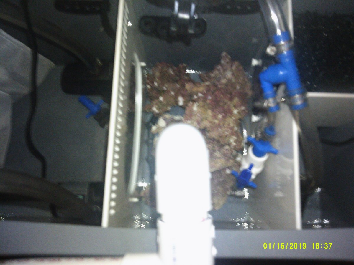 DSCF0087.JPG