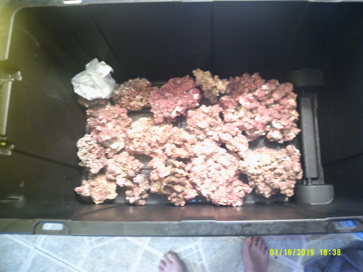 DSCF0090.JPG