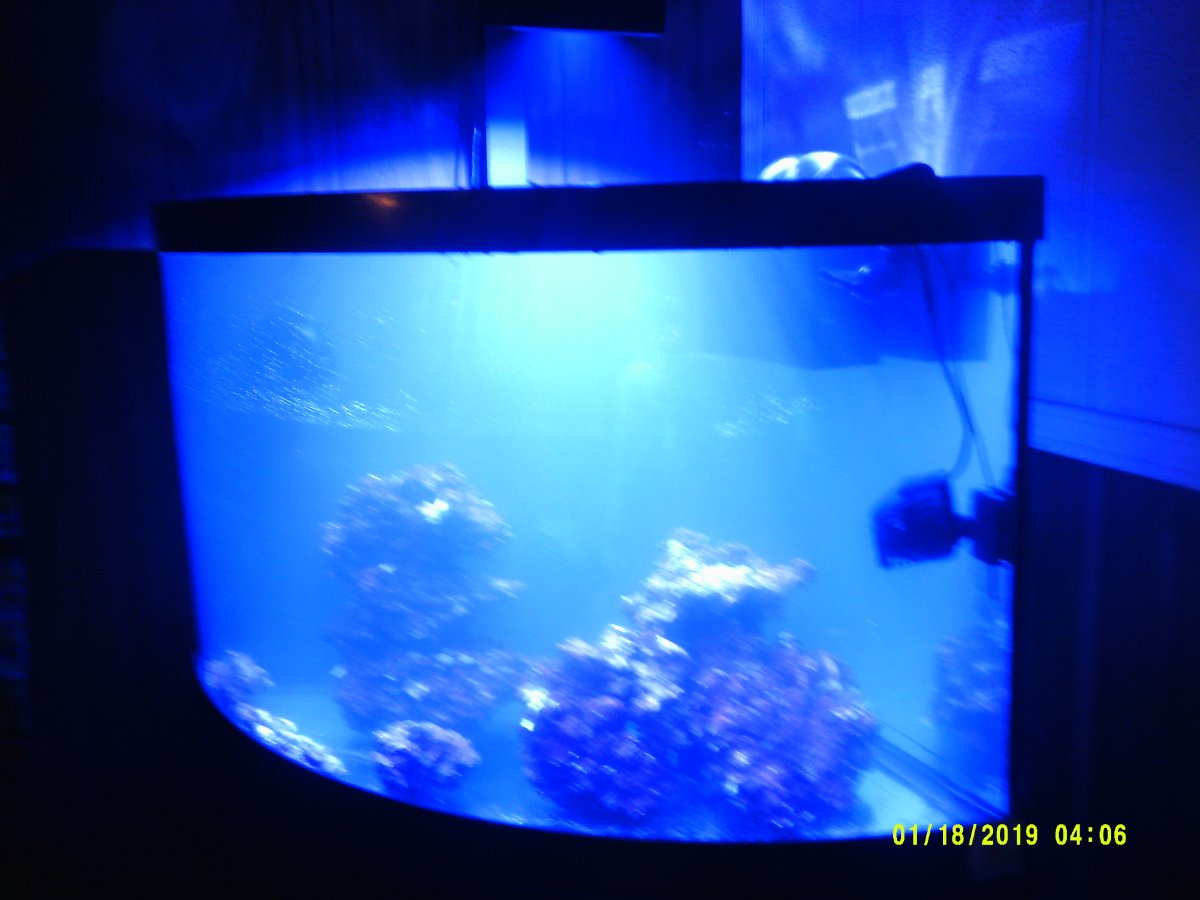 DSCF0143.JPG