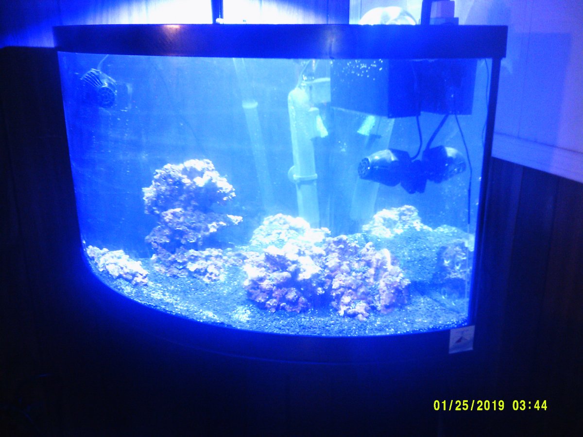 DSCF0153.JPG