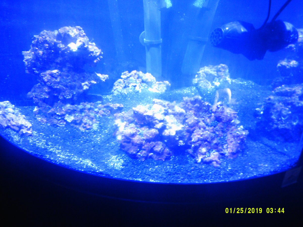 DSCF0155.JPG