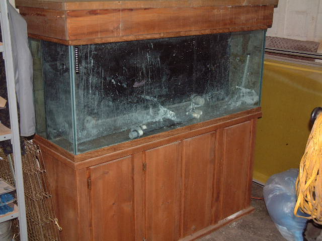 DSCF0587.JPG