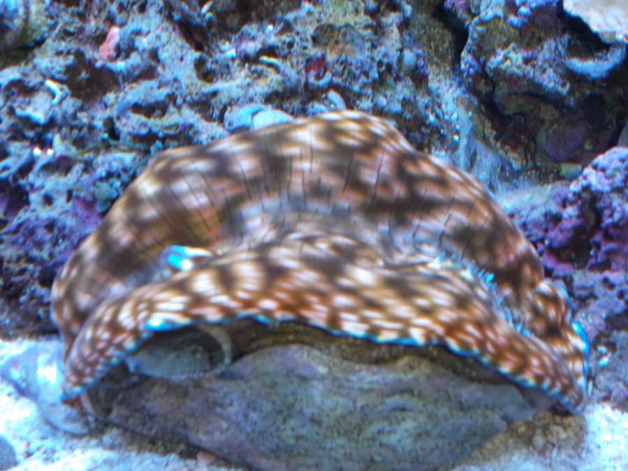 DSCF0717.jpg