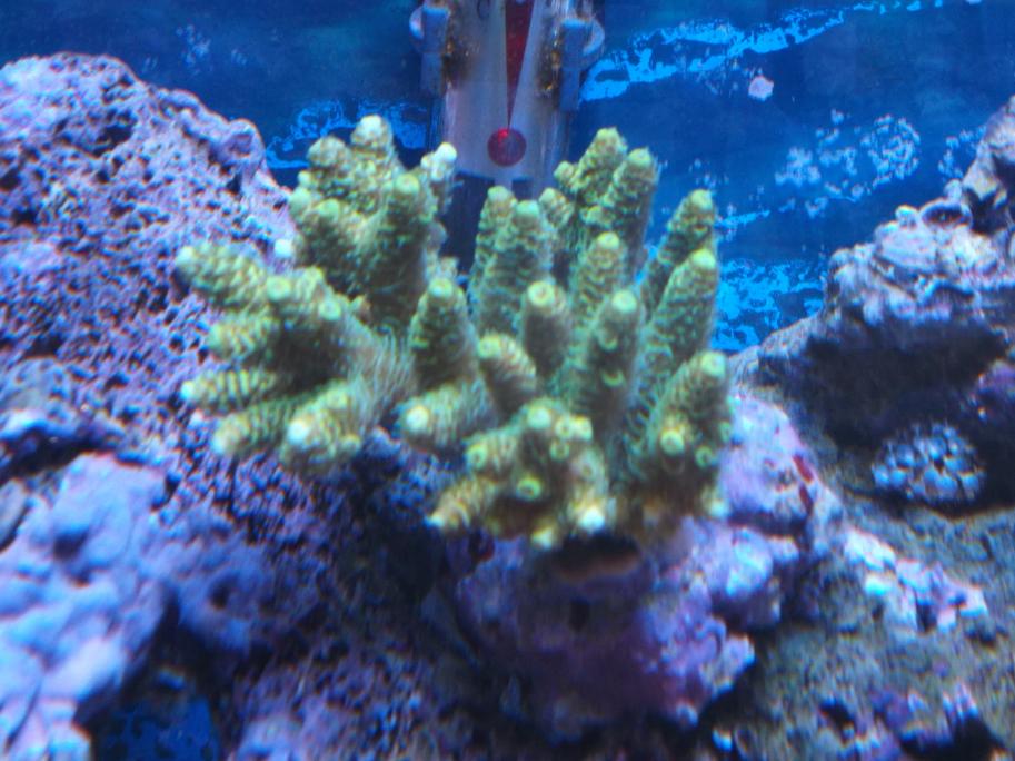 DSCF0761.jpg