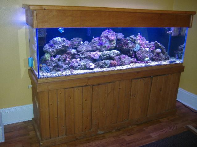 DSCF0953.jpg