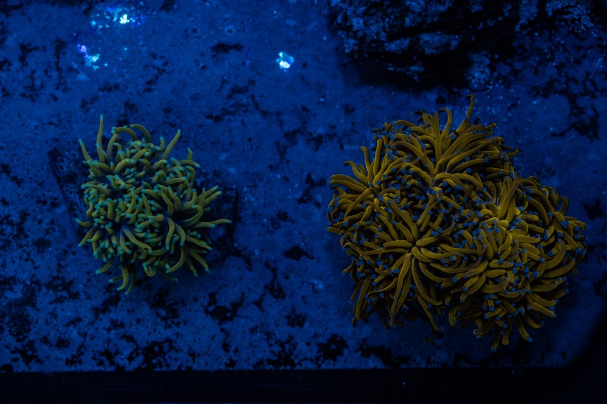 DSCF1371.jpg