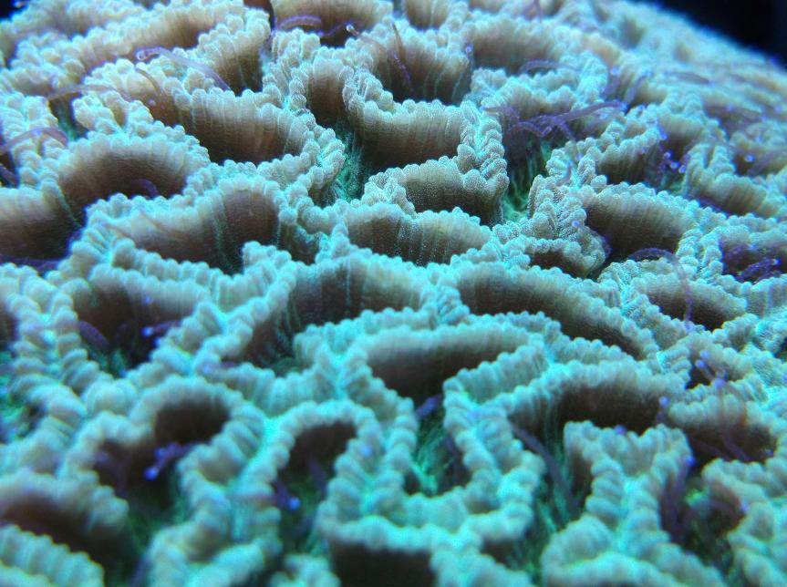 DSCF1467.jpg