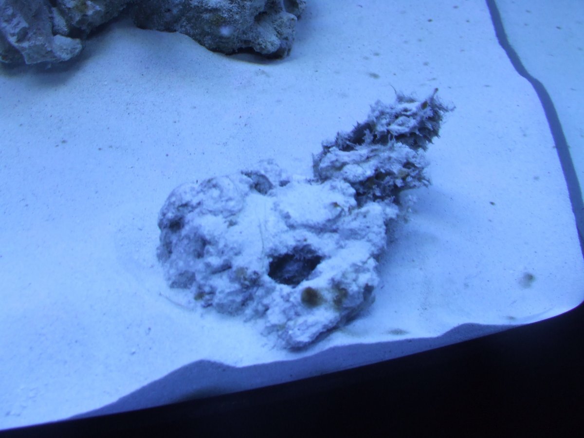 DSCF1507.jpg