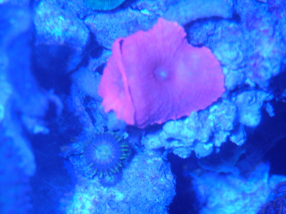 DSCF1719.JPG