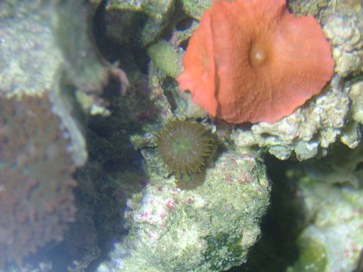 DSCF1734.JPG