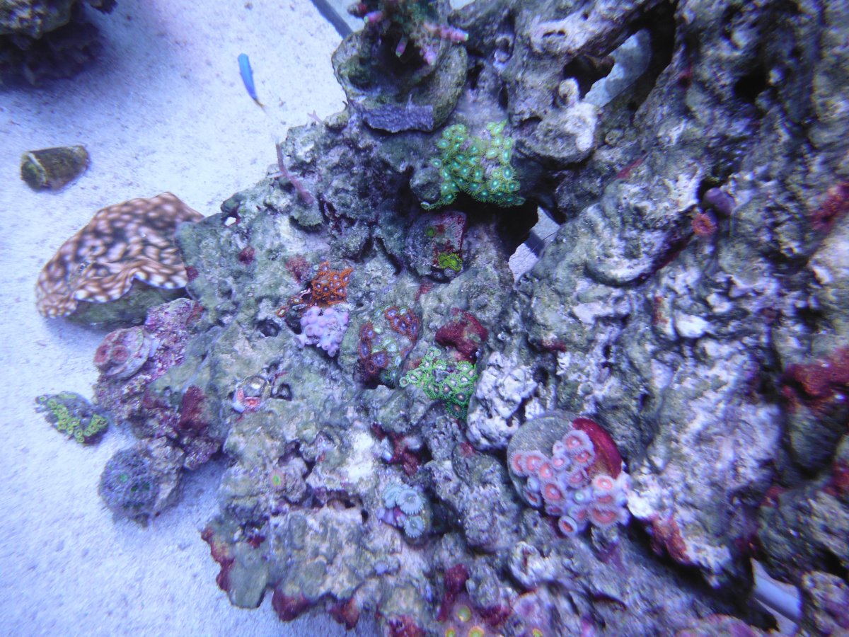 DSCF2044.JPG