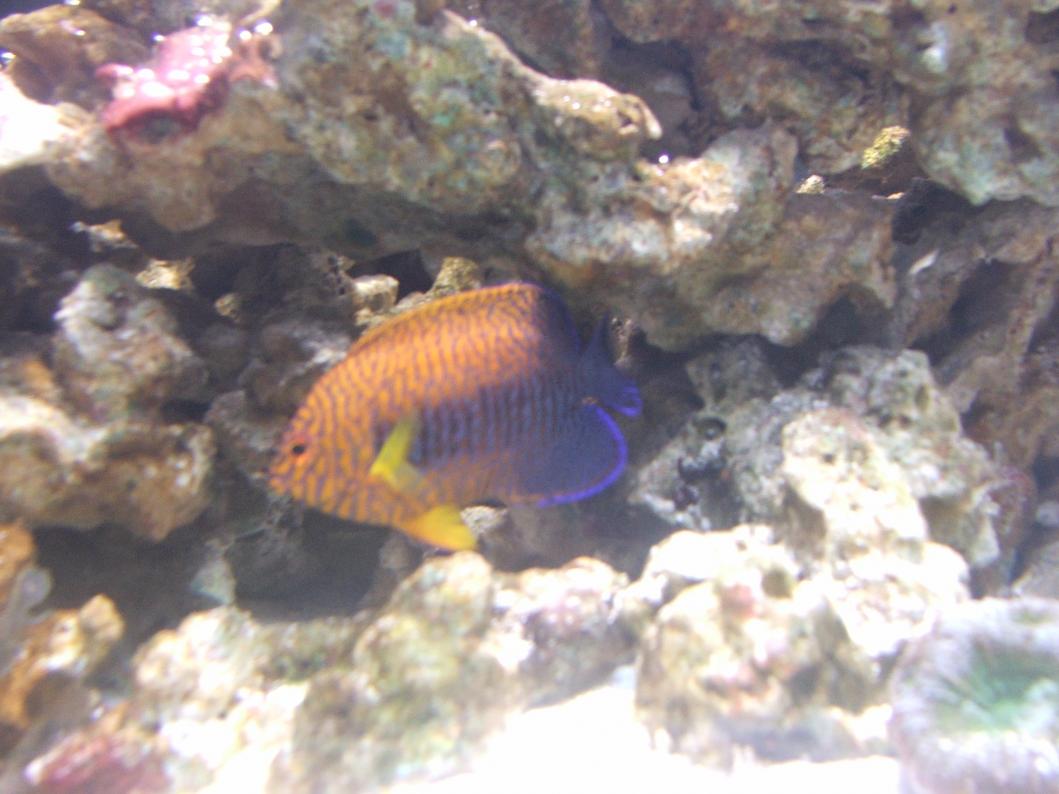 DSCF2085.jpg