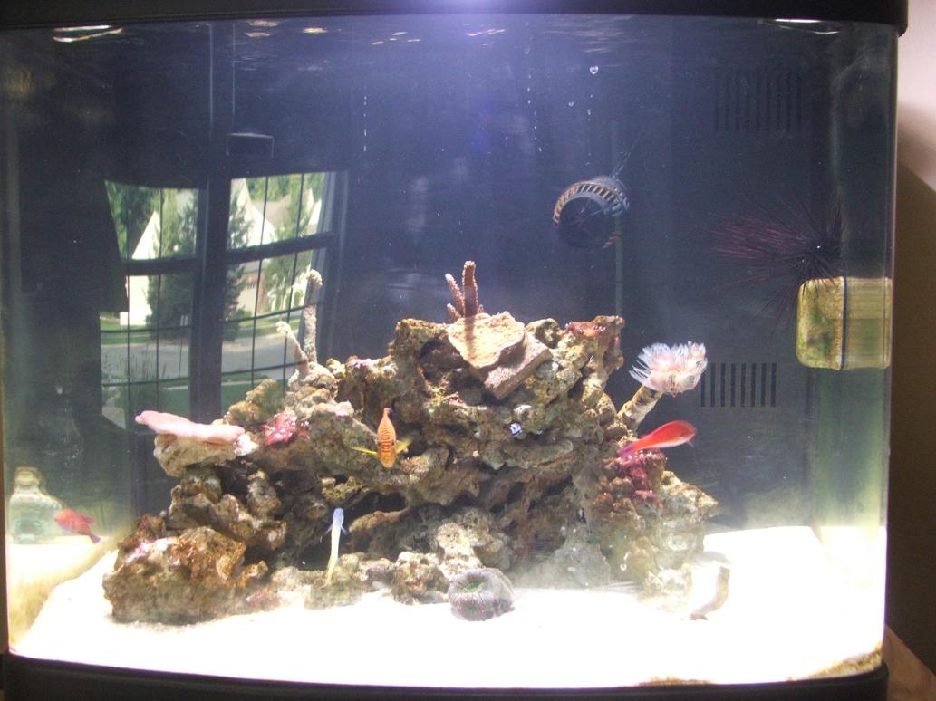 DSCF2096.jpg