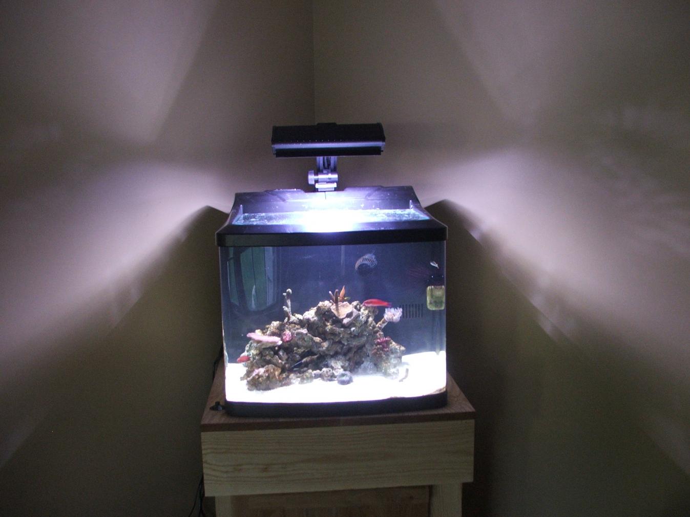 DSCF2103.jpg