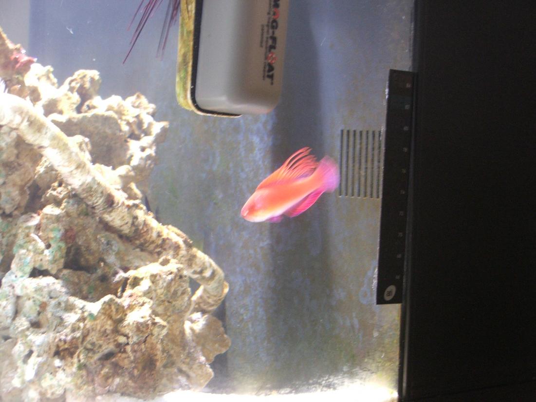 DSCF2124.jpg