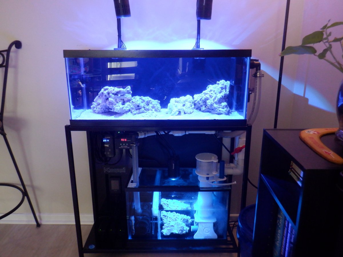 DSCF2198.JPG