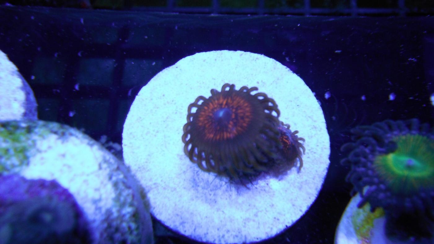 DSCF2244.jpg