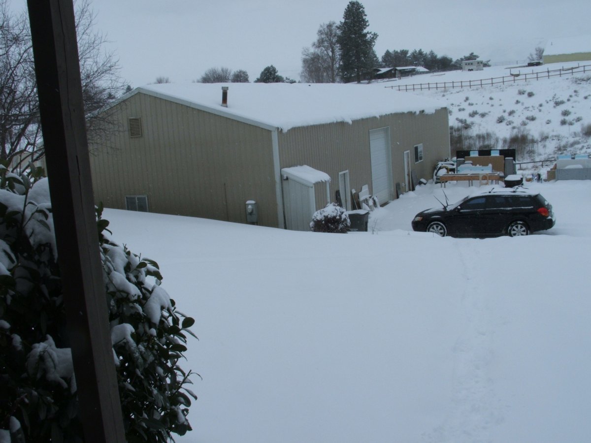 DSCF2482.JPG