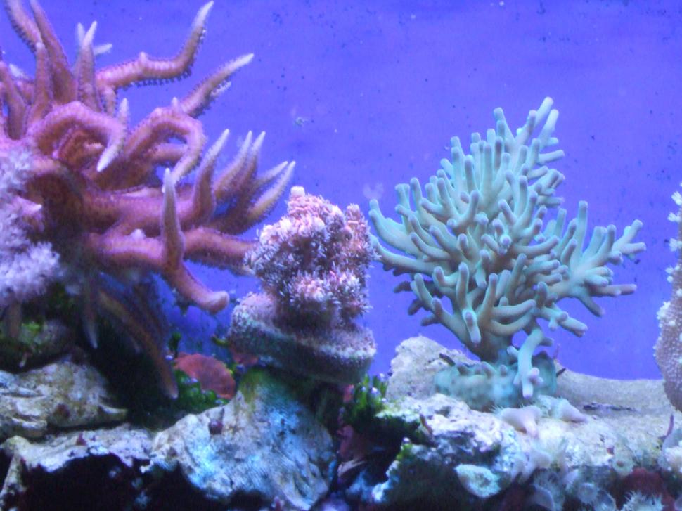 DSCF2676.jpg