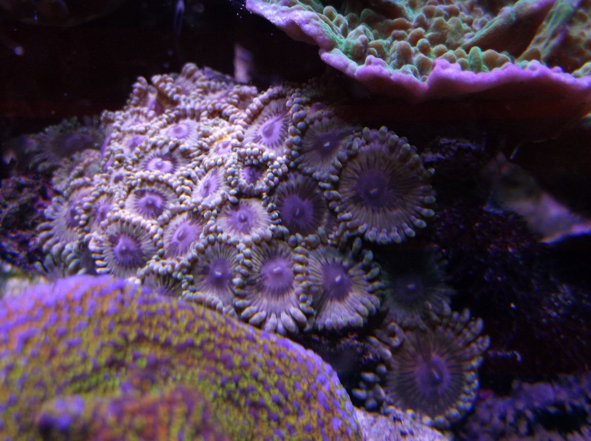 DSCF2875.JPG