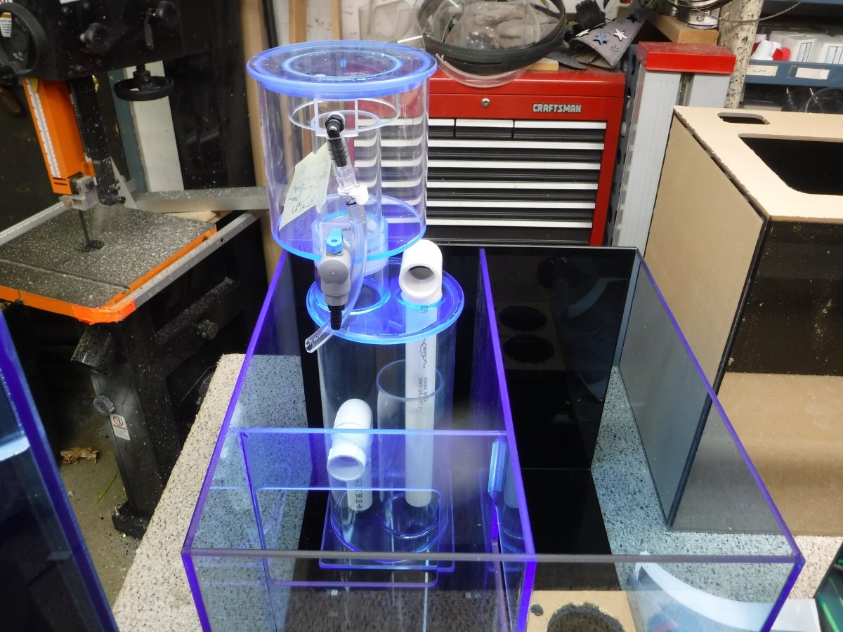 DSCF2974.jpg