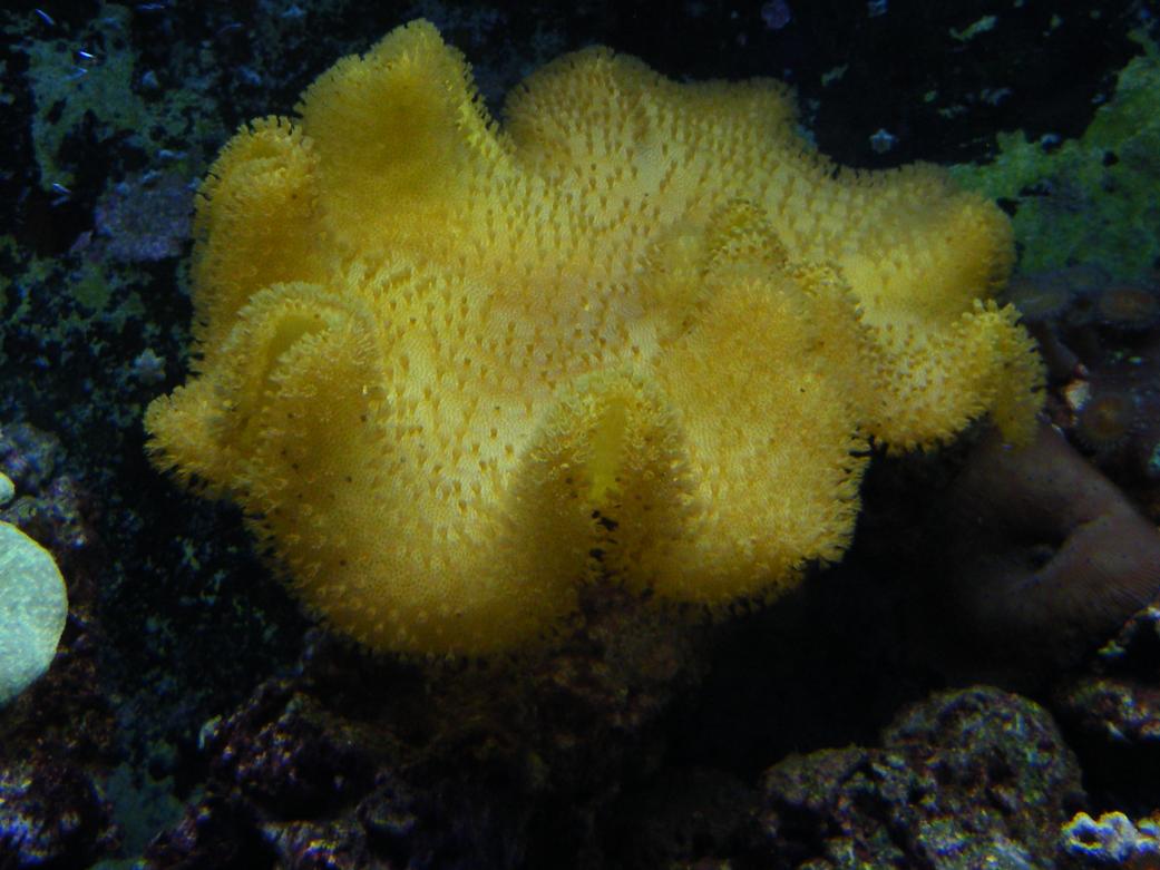 DSCF3047.jpg